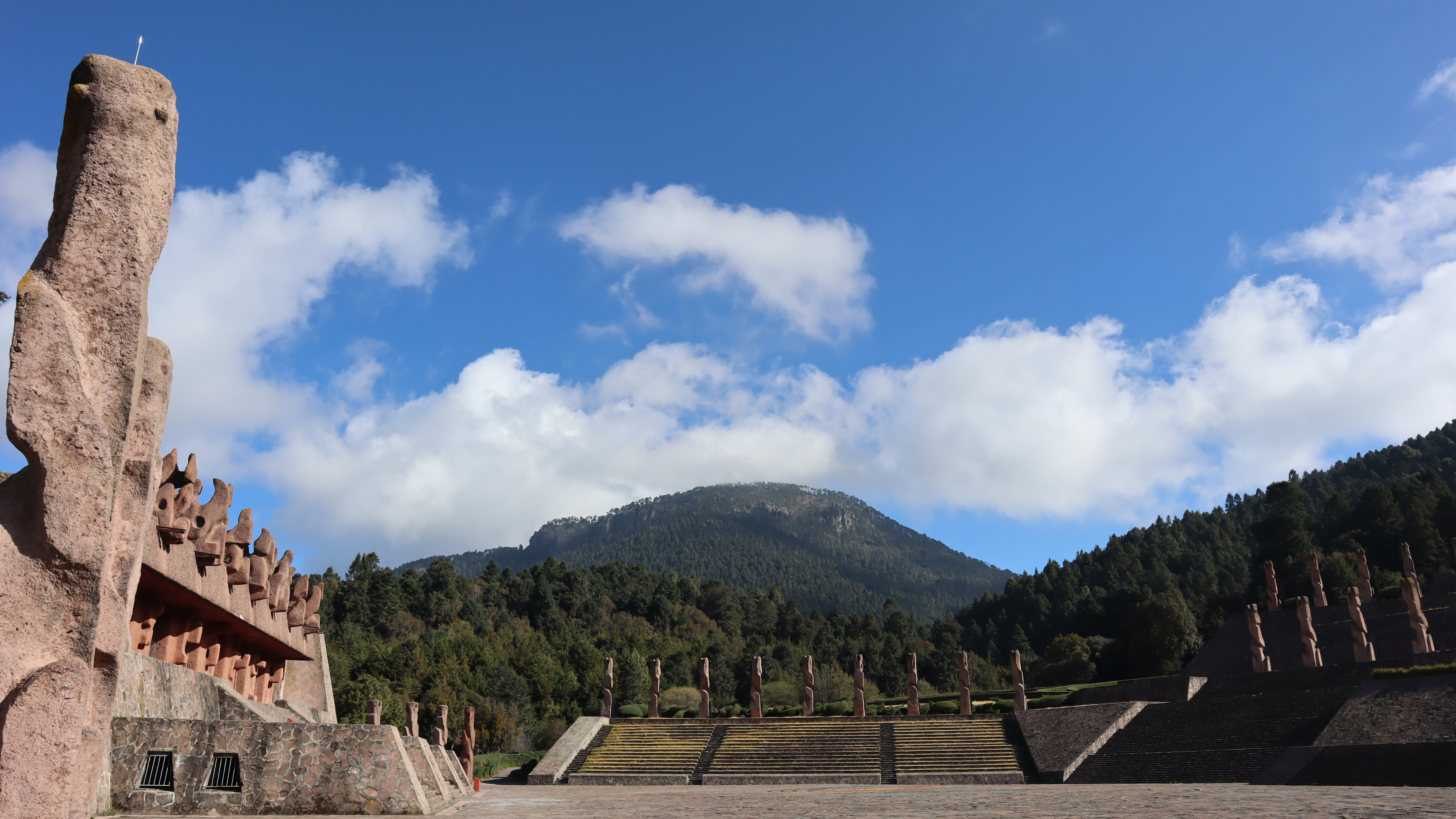 Banner de producto orgánico