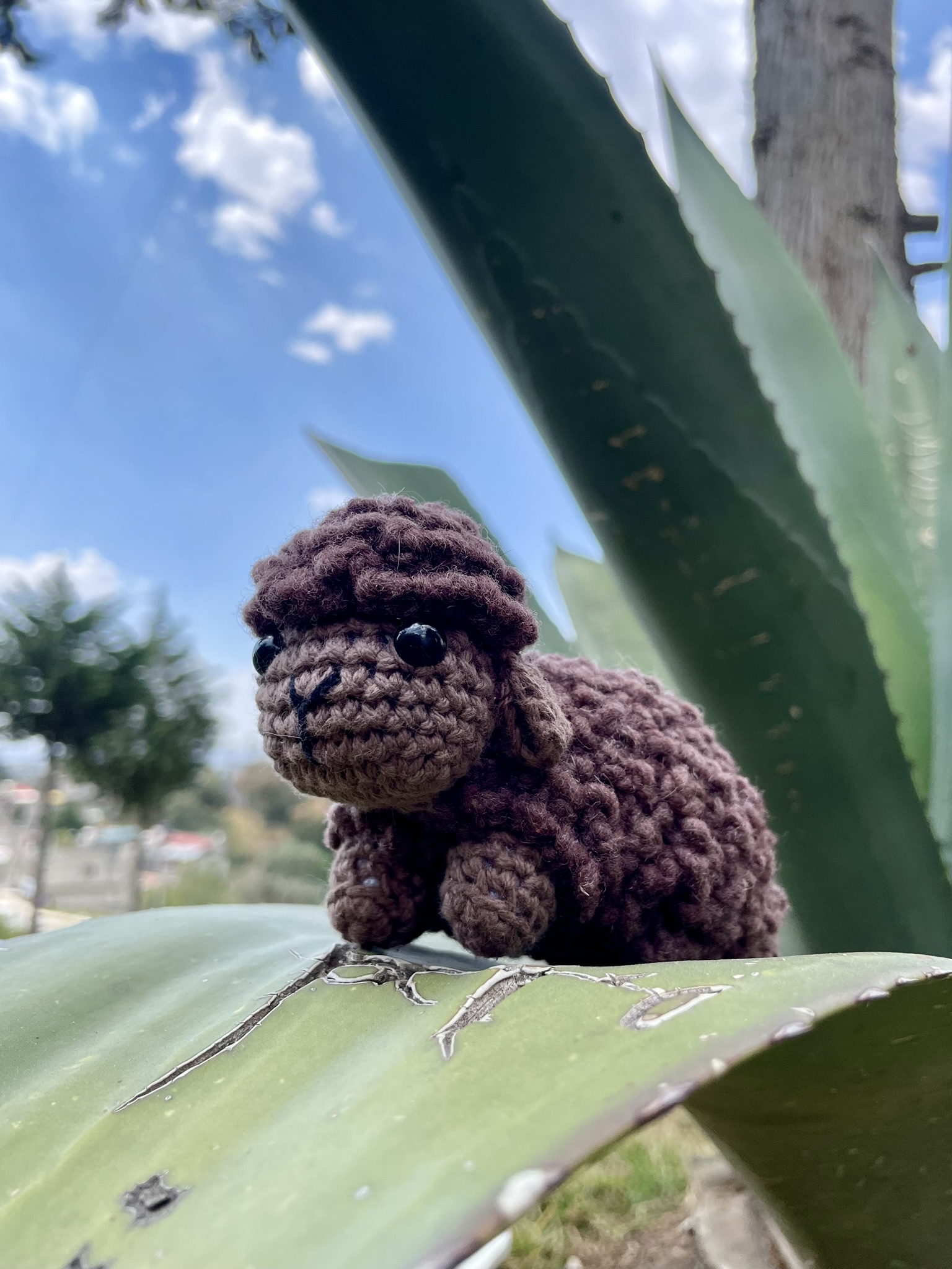 Llavero Borrego Amigo