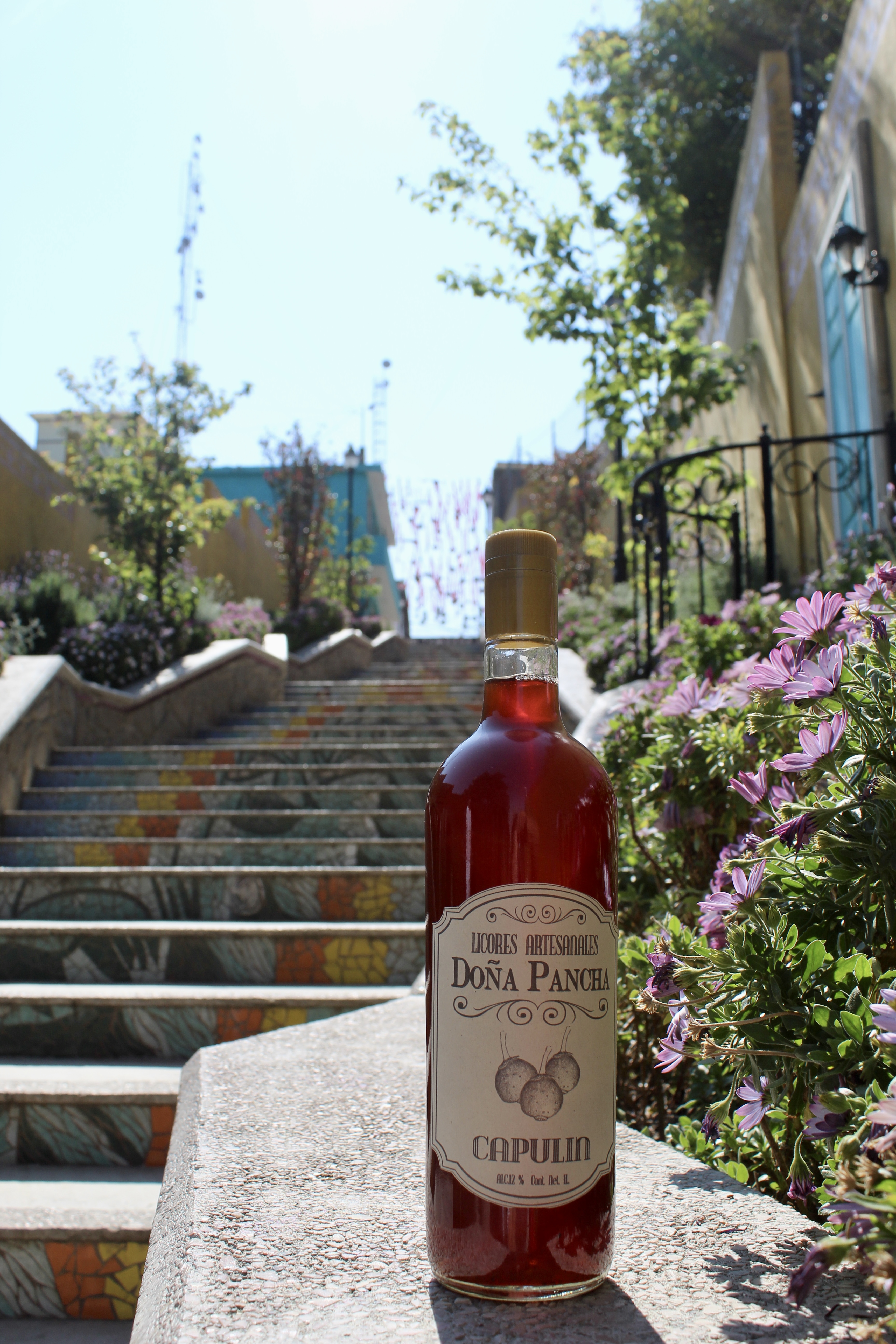 Licor de Capulín 1L